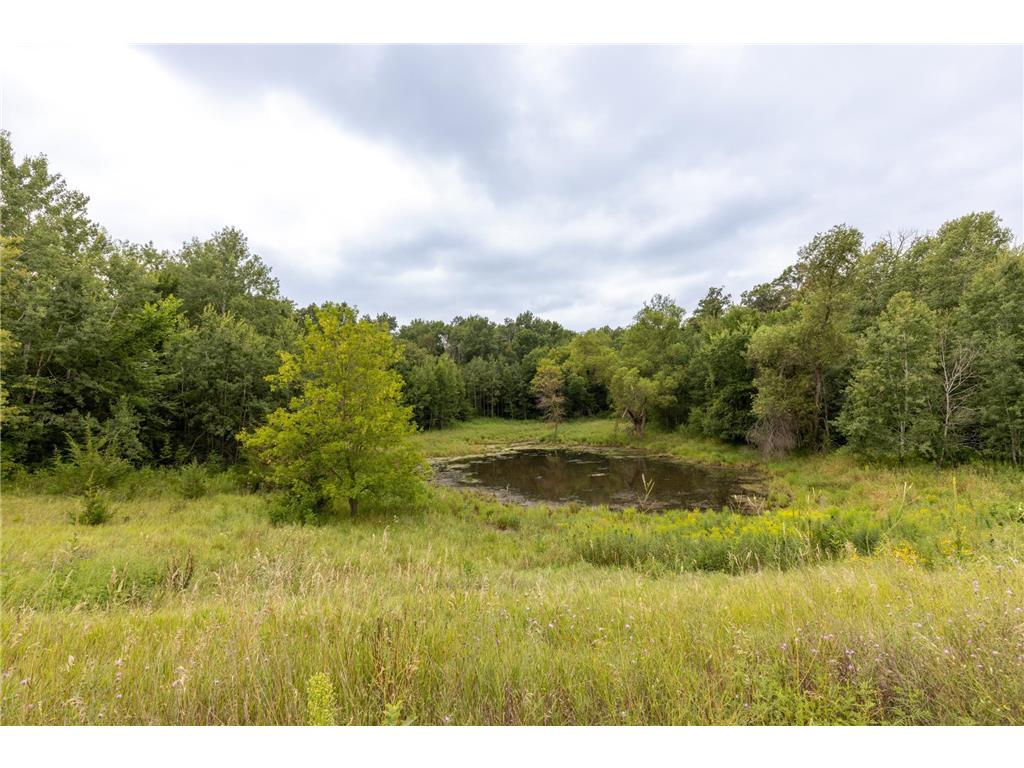 TBD 242nd St. Eureka WI 54934 - Manitou Lake 6771597 image6