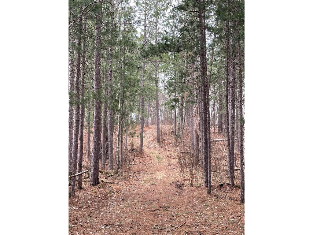 TBD 24th Street SW Pine River MN 56474 6367316 image1