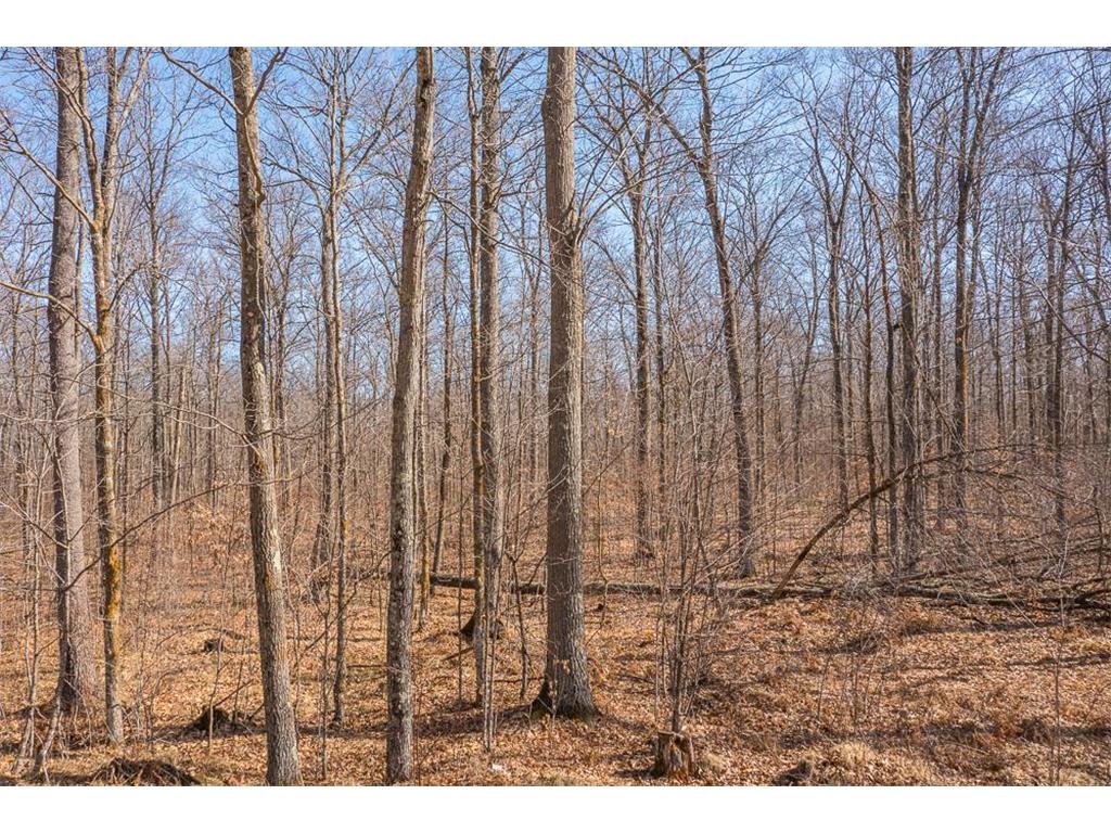 TBD 250th Place Seavey Twp MN 56342 7057333 image1