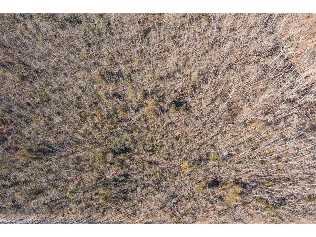 TBD 250th Place Seavey Twp MN 56342 7057333 image11