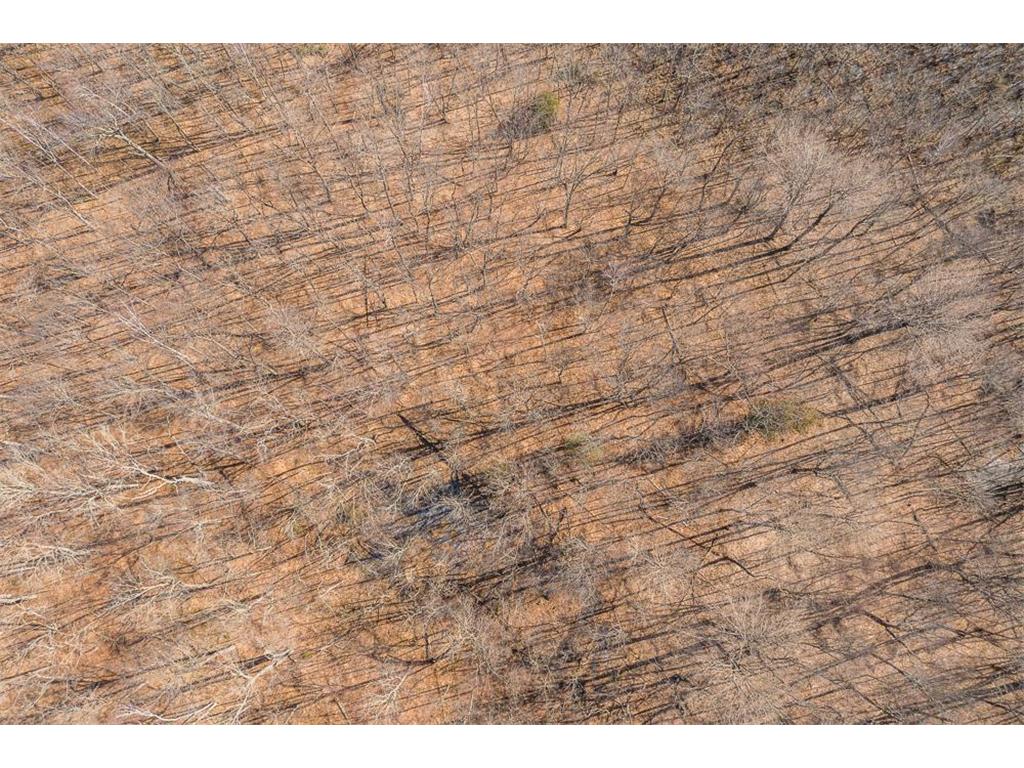 TBD 250th Place Seavey Twp MN 56342 7057333 image14