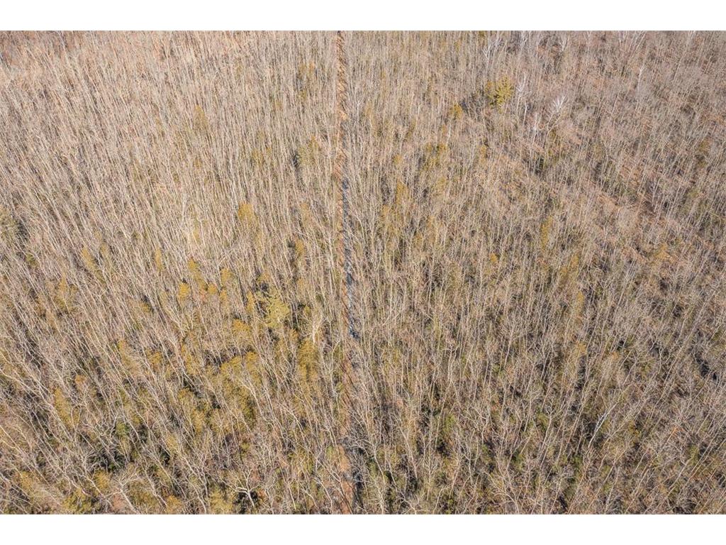 TBD 250th Place Seavey Twp MN 56342 7057333 image22