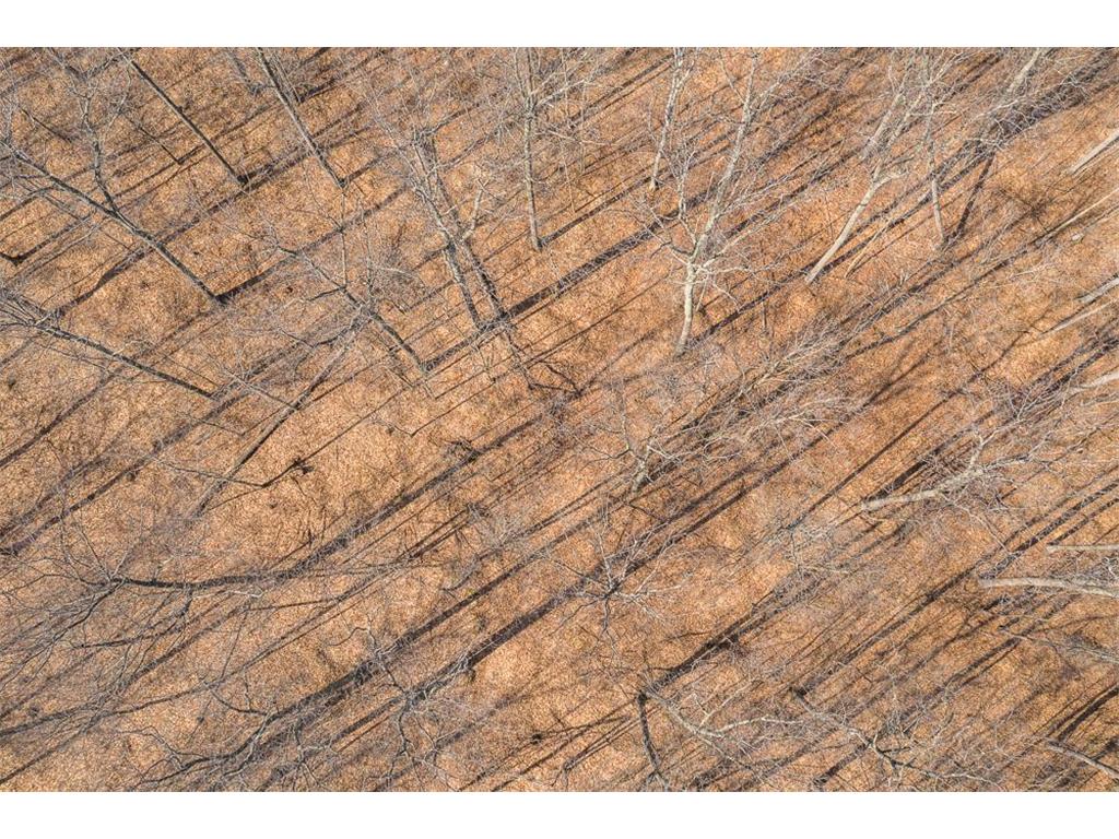 TBD 250th Place Seavey Twp MN 56342 7057333 image25
