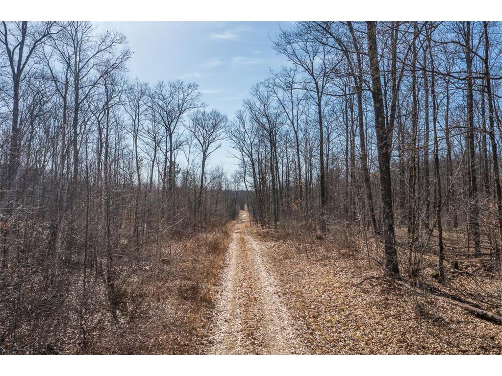 TBD 250th Place Seavey Twp MN 56342 7057333 image5