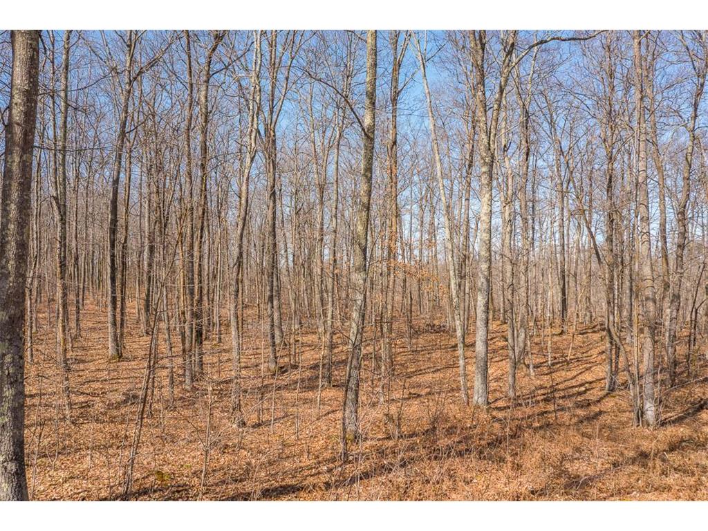 TBD 250th Place Seavey Twp MN 56342 7057333 image6