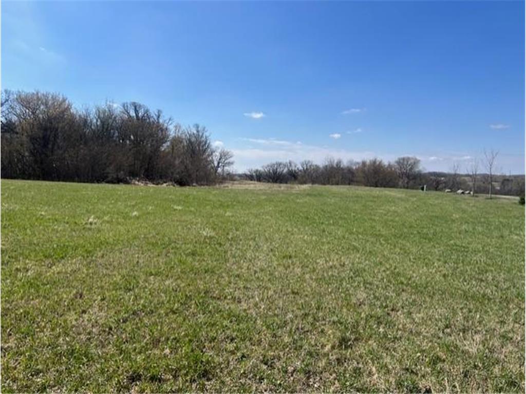 TBD 250th St E New Market Twp MN 55054 7052204 image1