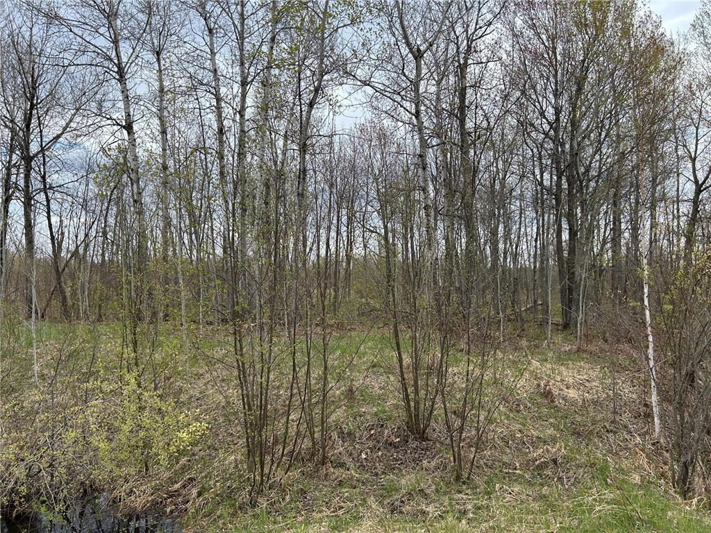TBD 250th Street Aitkin MN 56431 7072690 image3