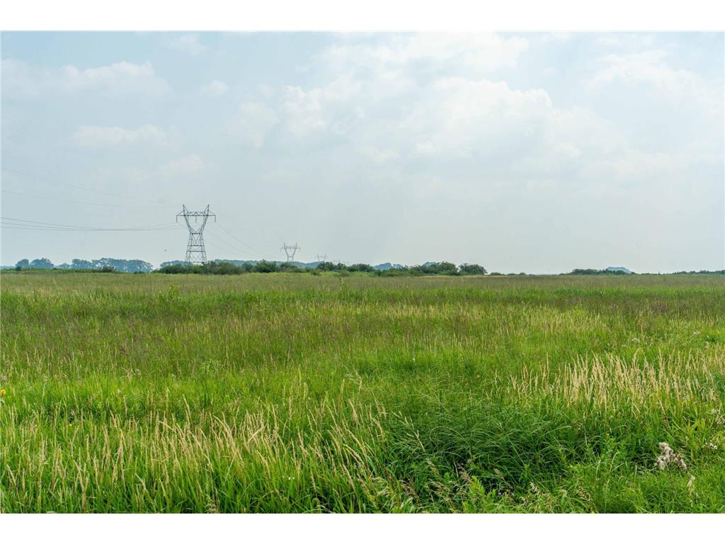 TBD 250th Street Akron Twp MN 56579 6765229 image4