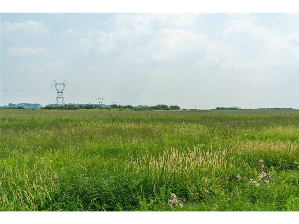 TBD 250th Street Akron Twp MN 56579 6765229 image5