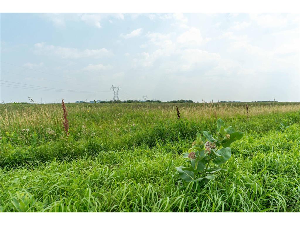 TBD 250th Street Akron Twp MN 56579 6765229 image7