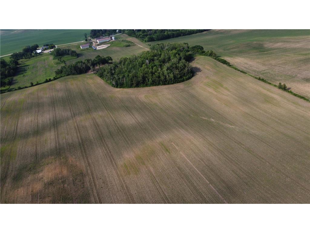 TBD 250th st E Douglas Twp MN 55031 6728803 image1