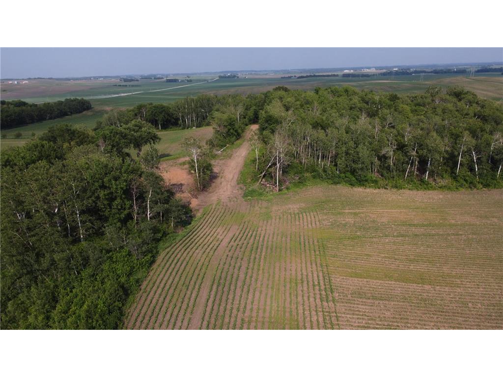 TBD 250th st E Douglas Twp MN 55031 6728803 image10