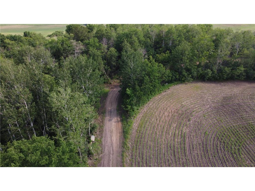 TBD 250th st E Douglas Twp MN 55031 6728803 image12