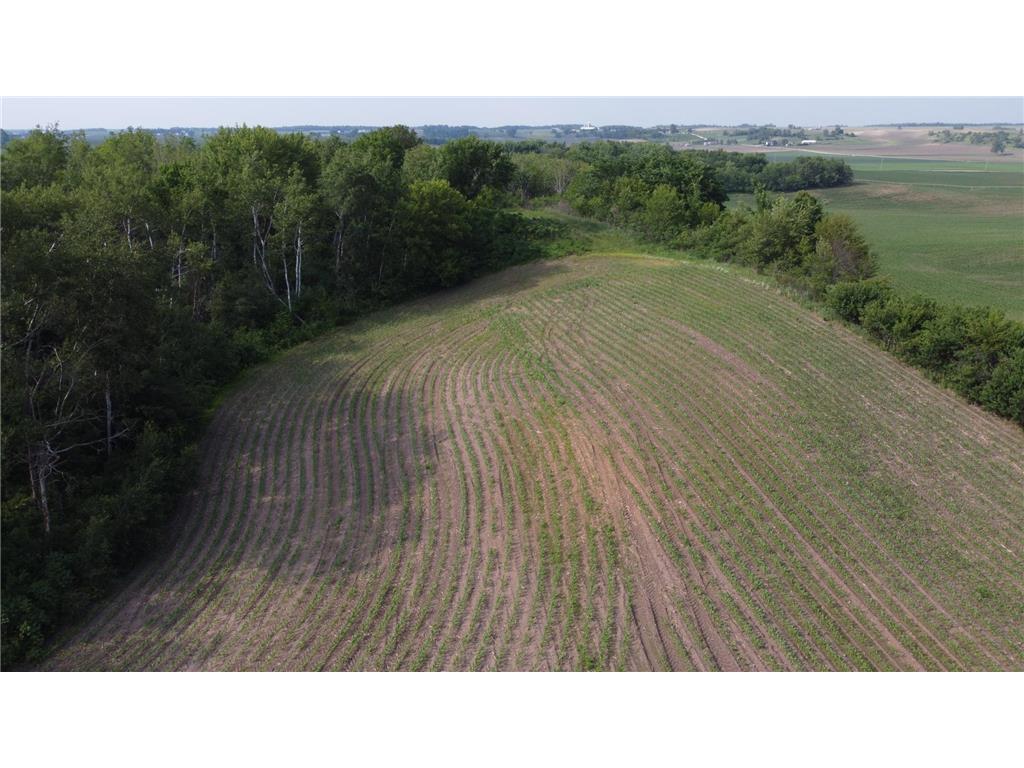 TBD 250th st E Douglas Twp MN 55031 6728803 image13