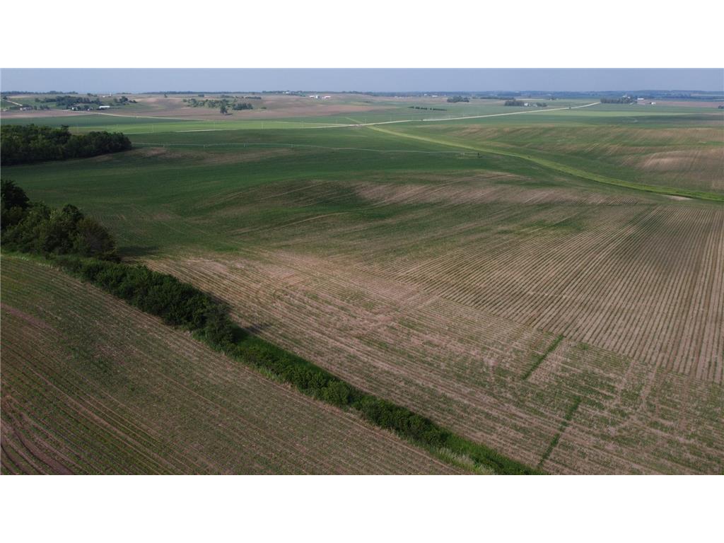 TBD 250th st E Douglas Twp MN 55031 6728803 image14