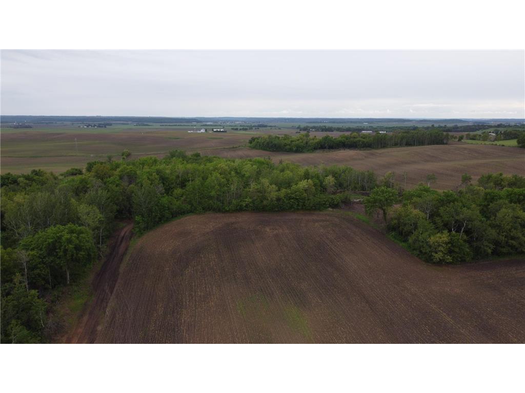 TBD 250th st E Douglas Twp MN 55031 6728803 image3