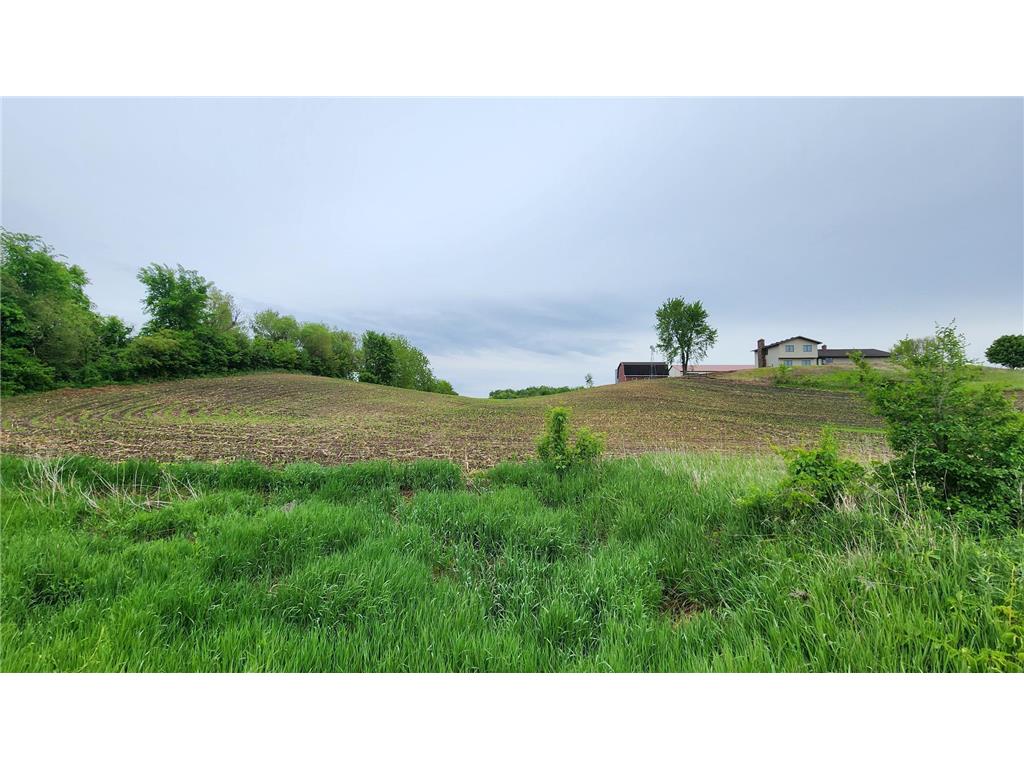 TBD 250th st E Douglas Twp MN 55031 6728803 image6