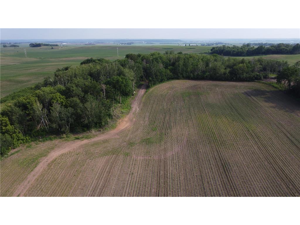 TBD 250th st E Douglas Twp MN 55031 6728803 image9