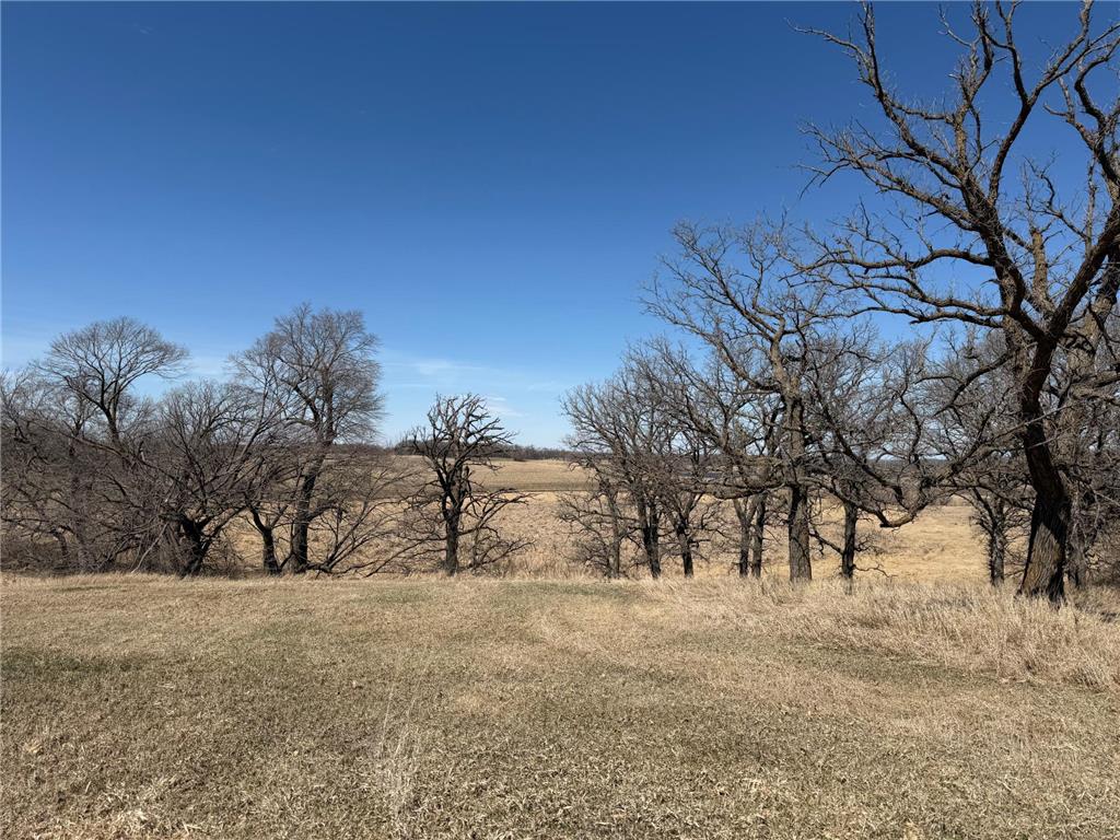 TBD 255th Street Fergus Falls MN 56537 7062326 image32