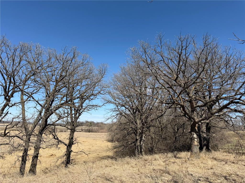 TBD 255th Street Fergus Falls MN 56537 7062326 image33