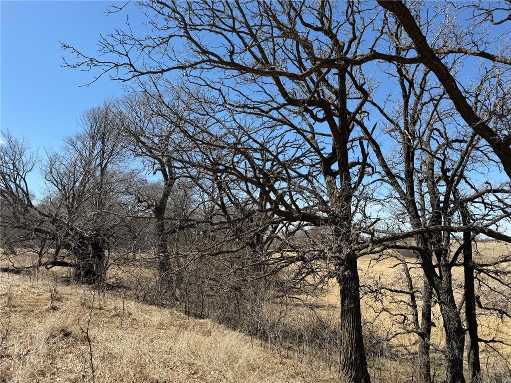 TBD 255th Street Fergus Falls MN 56537 7062326 image34
