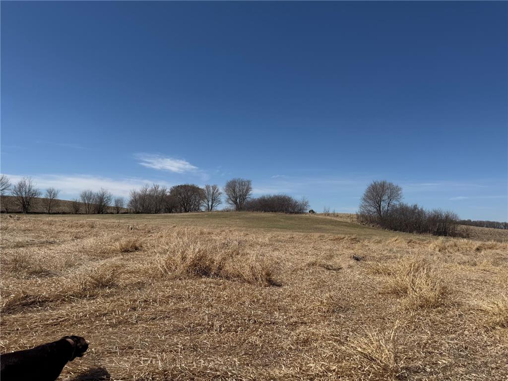 TBD 255th Street Fergus Falls MN 56537 7062326 image39