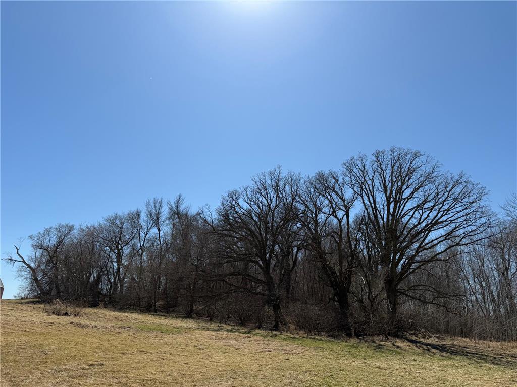 TBD 255th Street Fergus Falls MN 56537 7062326 image41