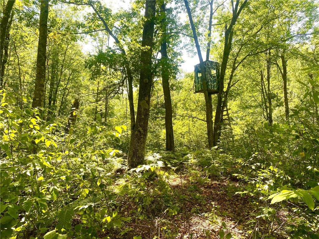 TBD-25AC Velvet Street Kroschel Twp MN 55072 6427166 image1