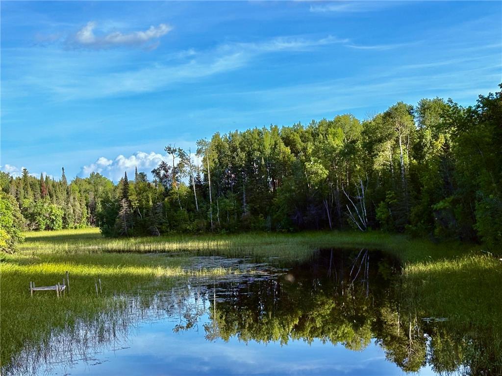 TBD 25th Ave SE Gudrid Twp MN 56623 - Silver Creek 6774678 image1