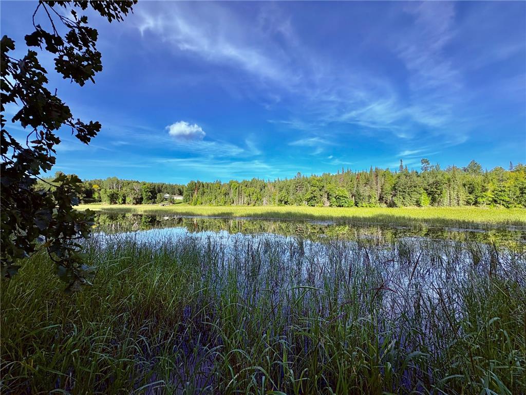 TBD 25th Ave SE Gudrid Twp MN 56623 - Silver Creek 6774678 image10