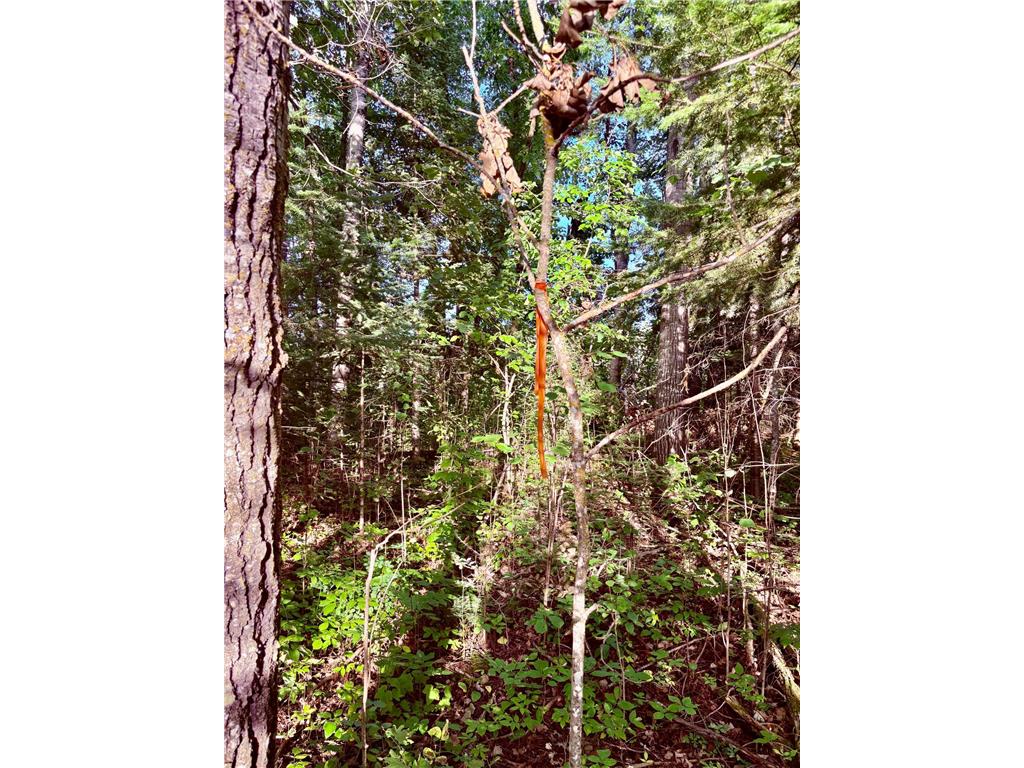 TBD 25th Ave SE Gudrid Twp MN 56623 - Silver Creek 6774678 image12