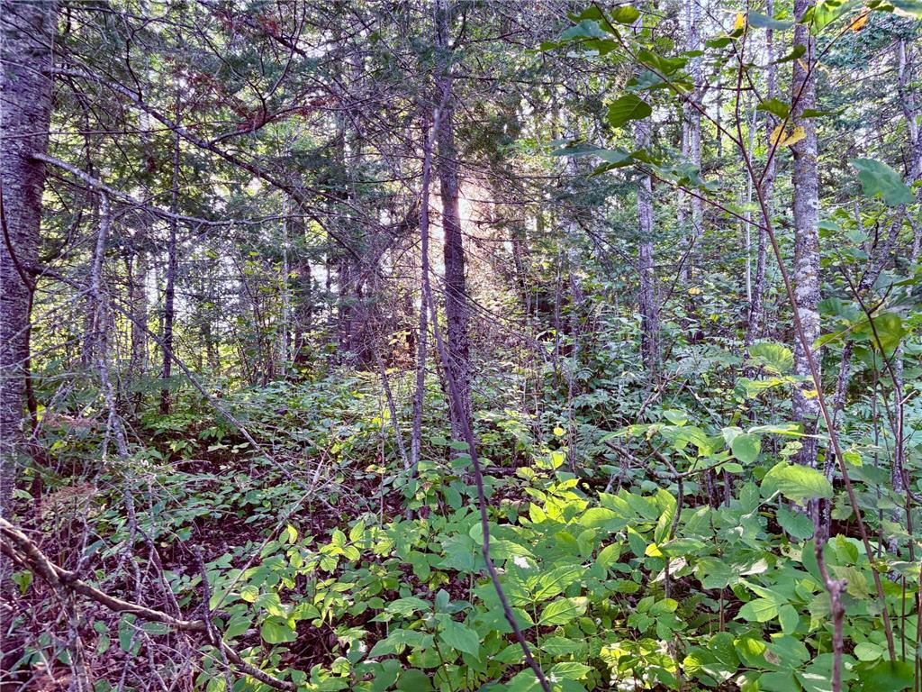 TBD 25th Ave SE Gudrid Twp MN 56623 - Silver Creek 6774678 image13