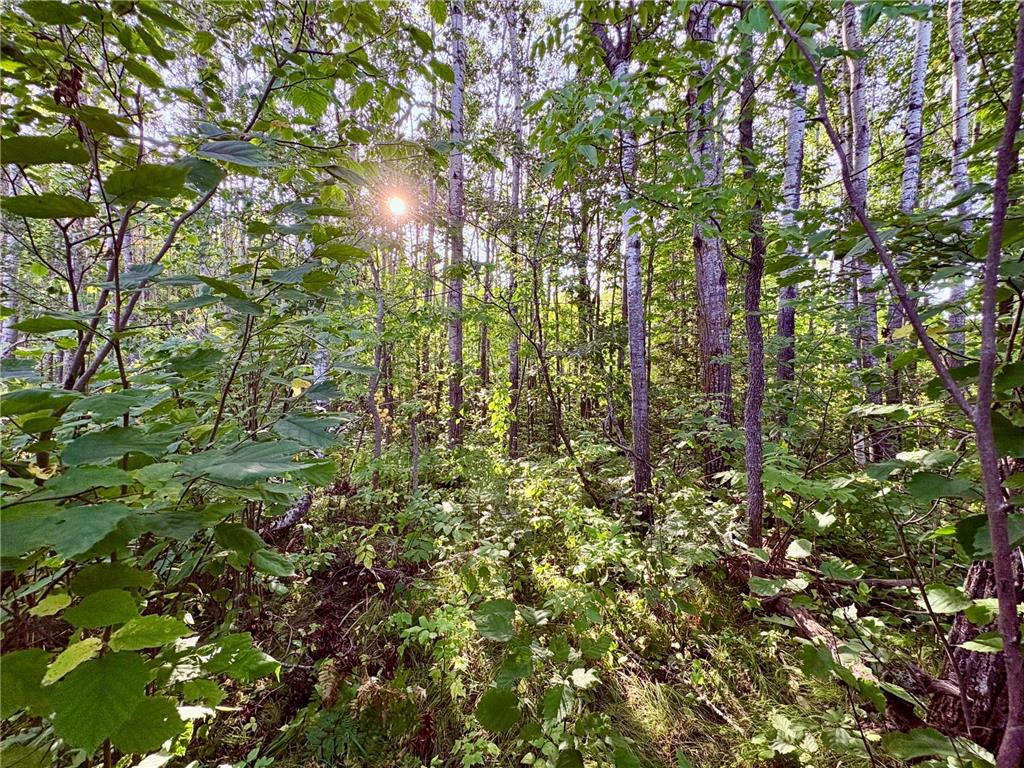 TBD 25th Ave SE Gudrid Twp MN 56623 - Silver Creek 6774678 image15