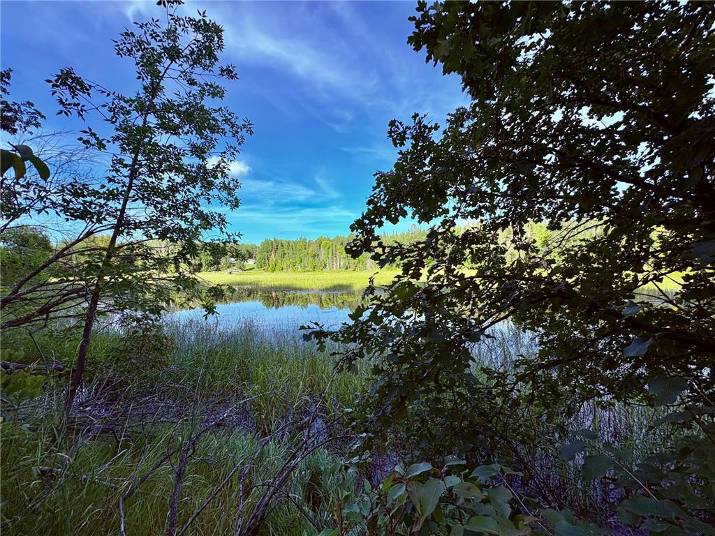 TBD 25th Ave SE Gudrid Twp MN 56623 - Silver Creek 6774678 image17