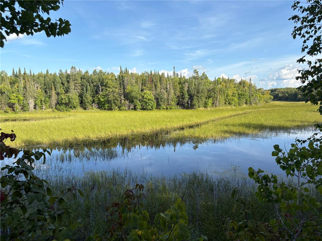 TBD 25th Ave SE Gudrid Twp MN 56623 - Silver Creek 6774678 image18