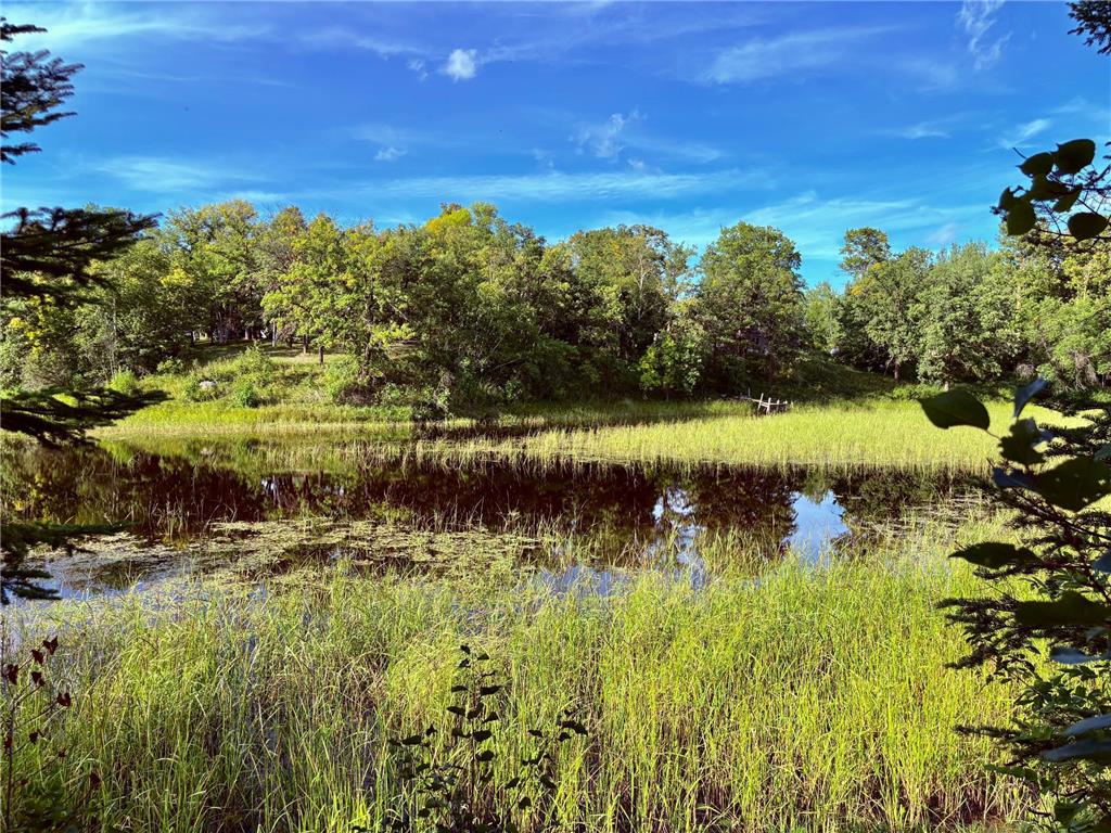 TBD 25th Ave SE Gudrid Twp MN 56623 - Silver Creek 6774678 image22