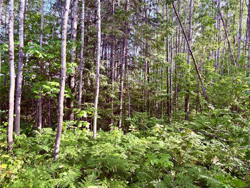 TBD 25th Ave SE Gudrid Twp MN 56623 - Silver Creek 6774678 image23