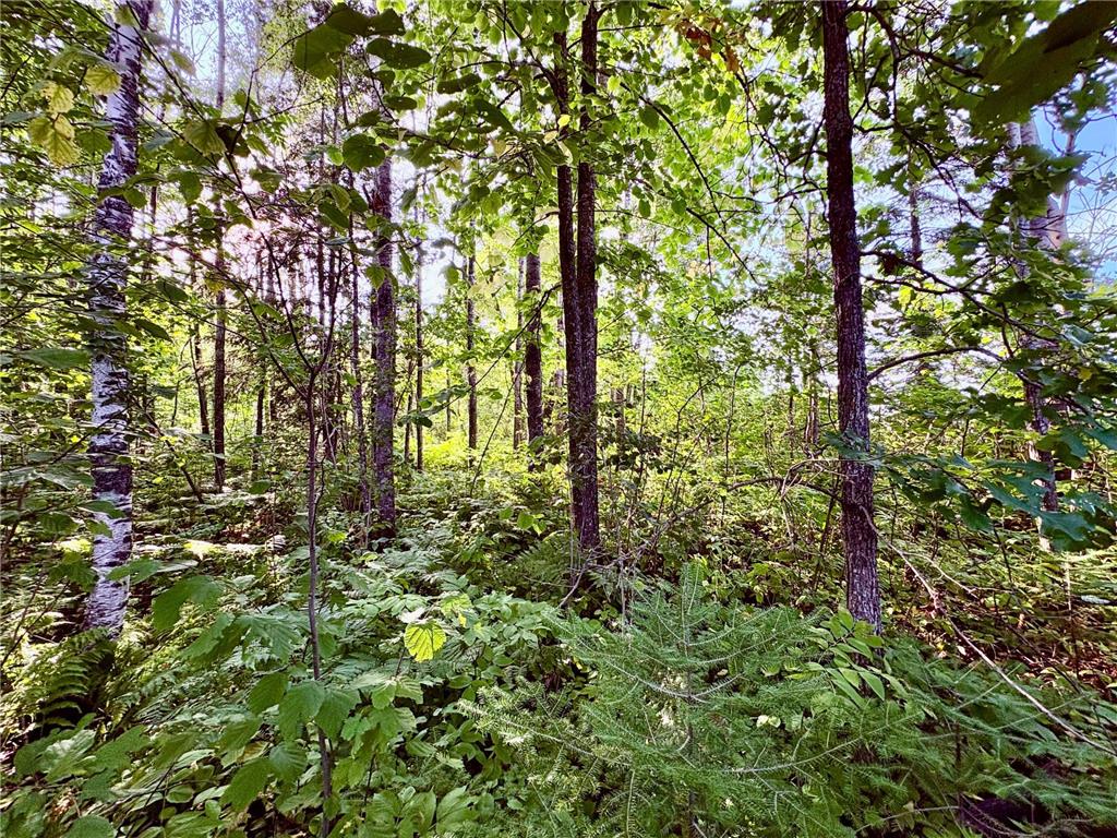 TBD 25th Ave SE Gudrid Twp MN 56623 - Silver Creek 6774678 image24