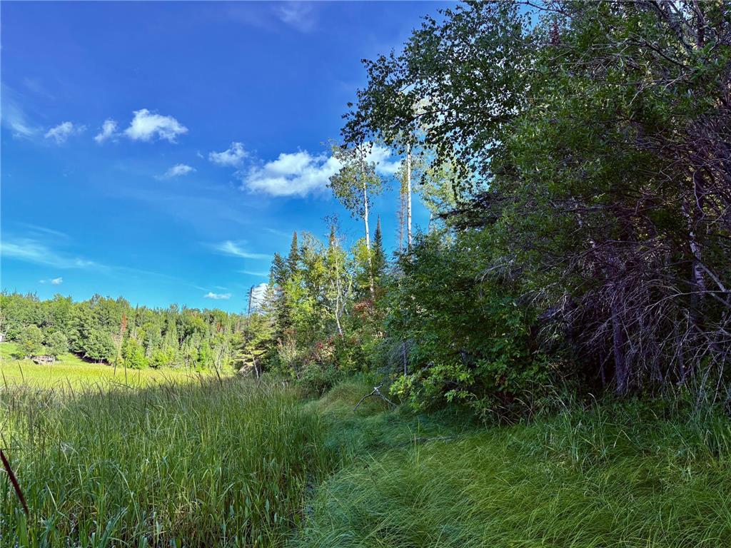 TBD 25th Ave SE Gudrid Twp MN 56623 - Silver Creek 6774678 image28