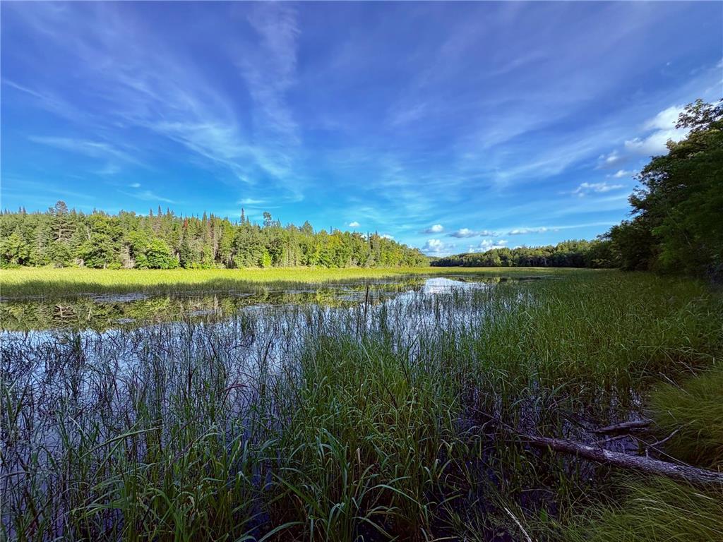 TBD 25th Ave SE Gudrid Twp MN 56623 - Silver Creek 6774678 image9