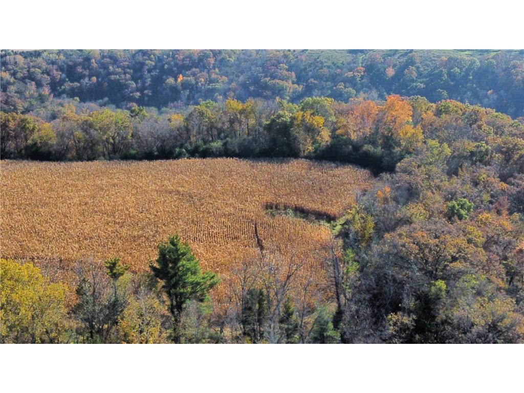 TBD 260TH Avenue Lake Twp MN 55041 6821710 image15