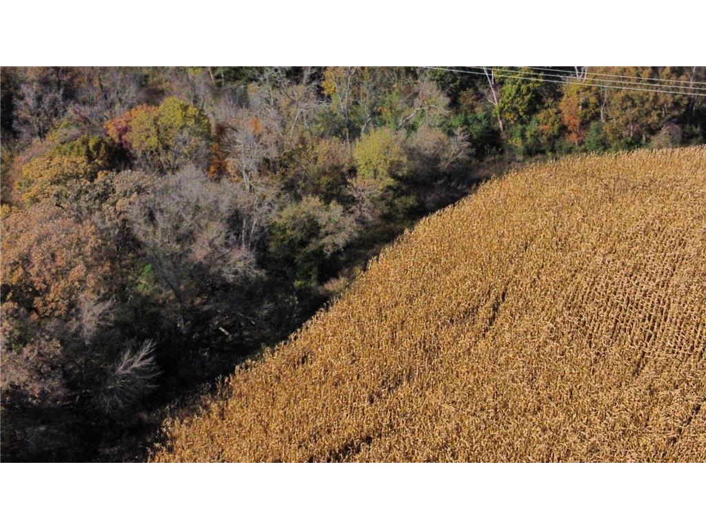 TBD 260TH Avenue Lake Twp MN 55041 6821710 image24