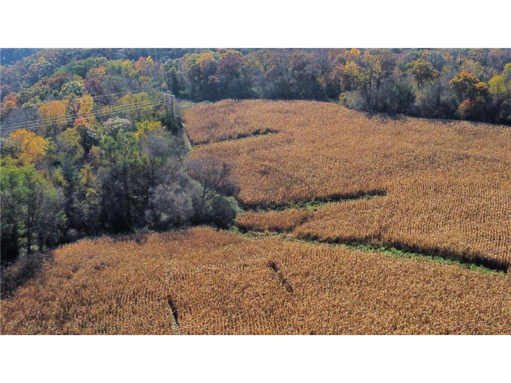 TBD 260TH Avenue Lake Twp MN 55041 6821710 image6