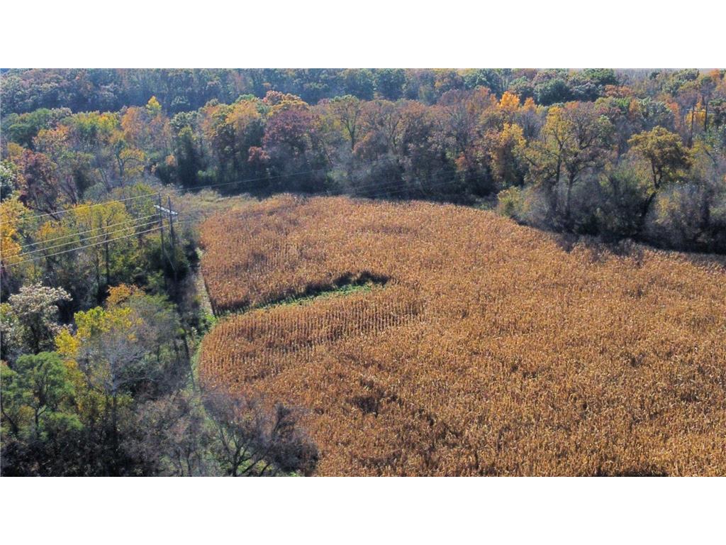 TBD 260TH Avenue Lake Twp MN 55041 6821710 image9