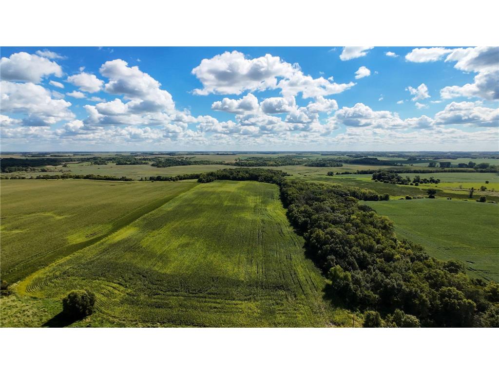TBD 260th Street W Morristown MN 55052 6801762 image1