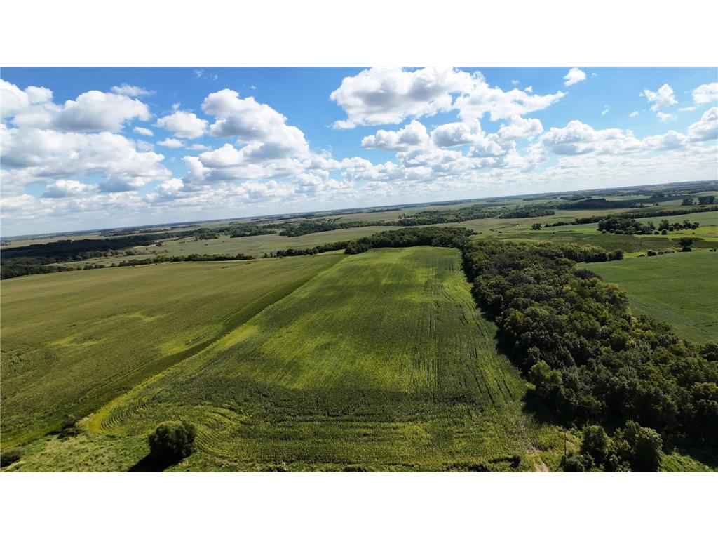 TBD 260th Street W Morristown MN 55052 6801762 image2