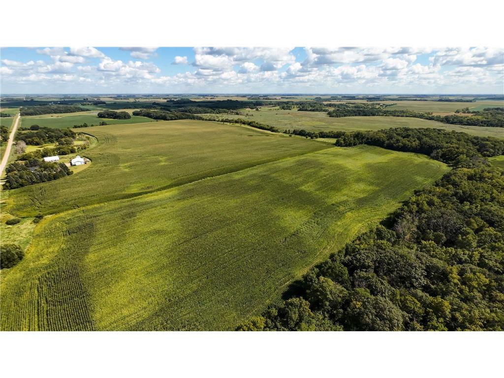 TBD 260th Street W Morristown MN 55052 6801762 image4