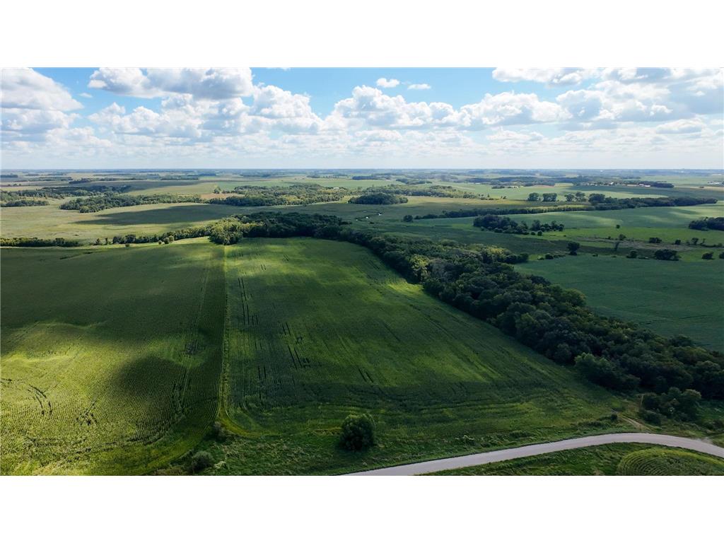 TBD 260th Street W Morristown MN 55052 6801762 image6