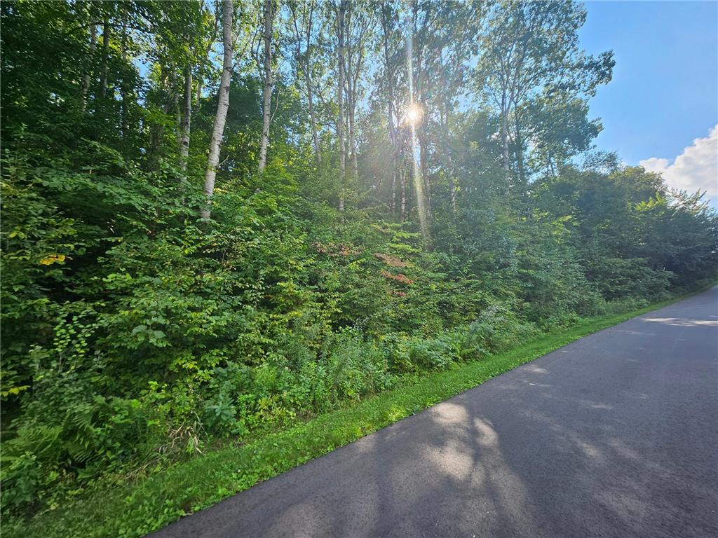 TBD 263rd Street Franconia Twp MN 55074 6775906 image2