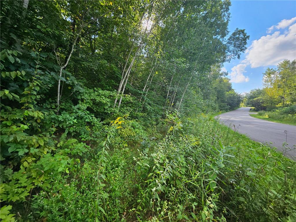 TBD 263rd Street Franconia Twp MN 55074 6775906 image4
